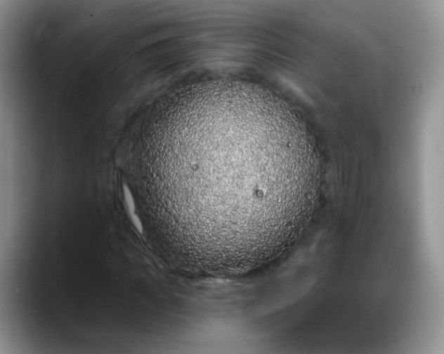 X0000088180917200705291949