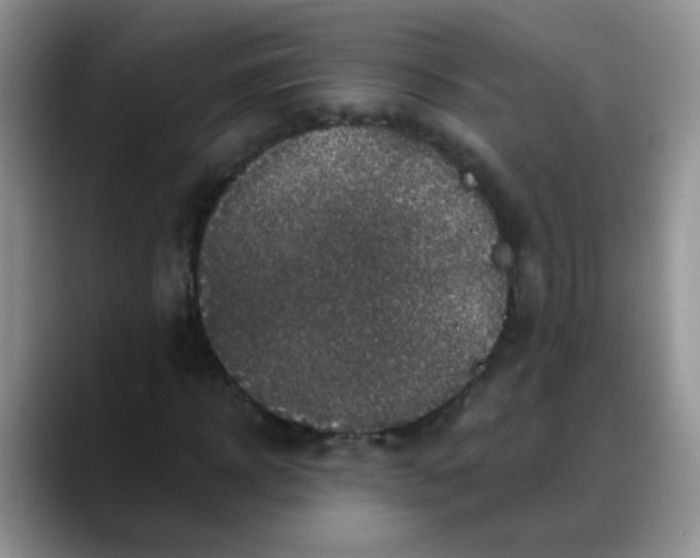 X0000088180918200705291949