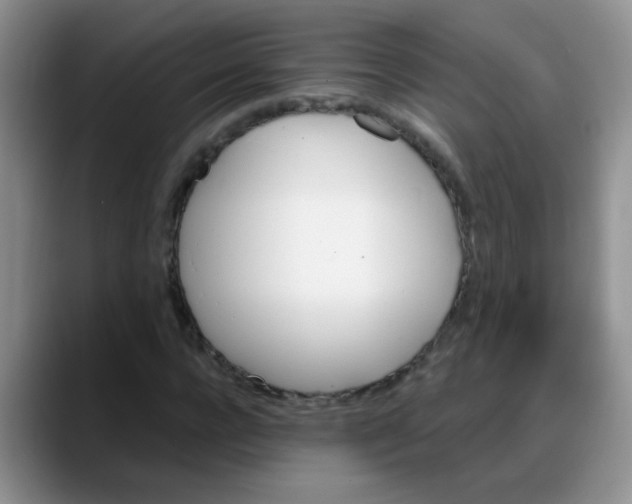 X0000088180920200705291949