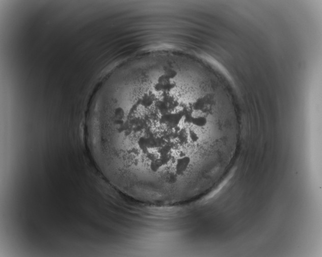 X0000088180921200705291949