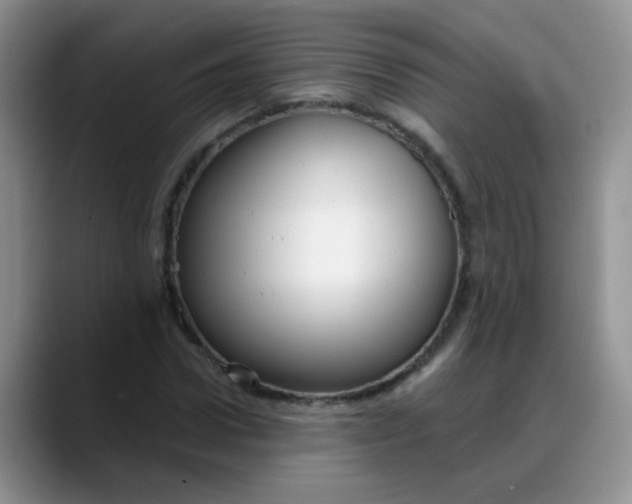 X0000088180922200705291949