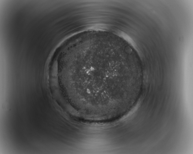 X0000088180923200705291949