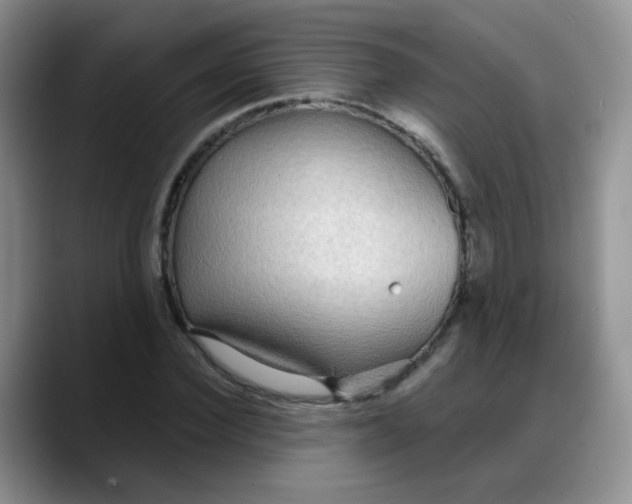 X0000088180924200705291949