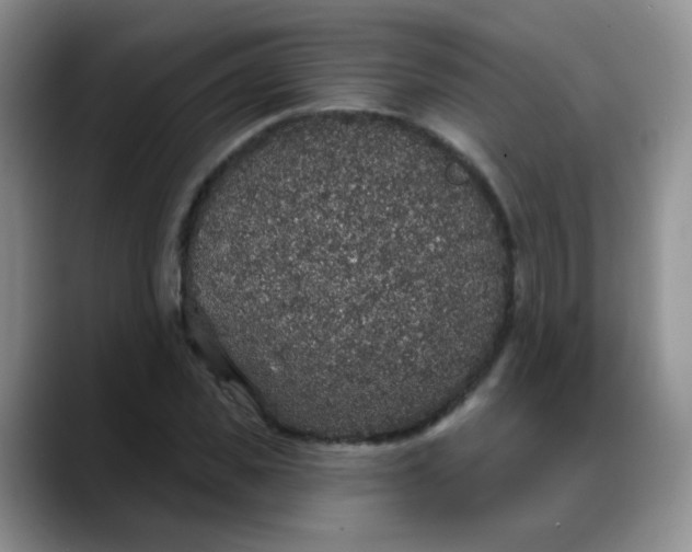 X0000088180925200705291949