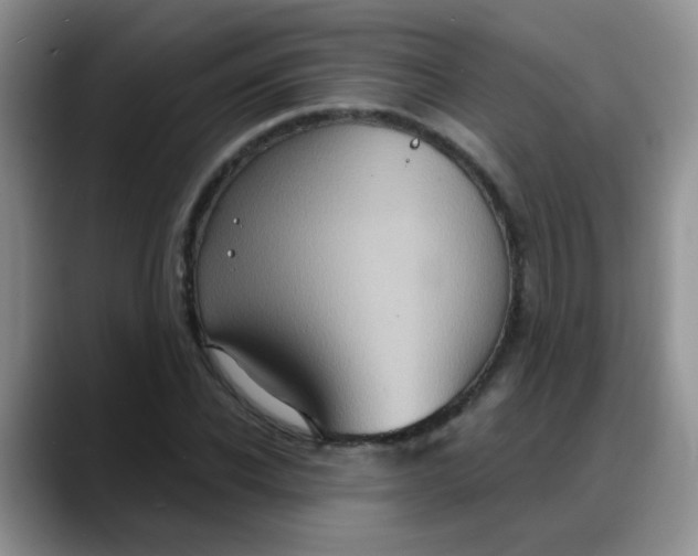 X0000088180926200705291949