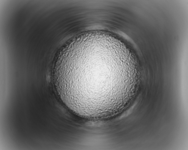 X0000088180929200705291949