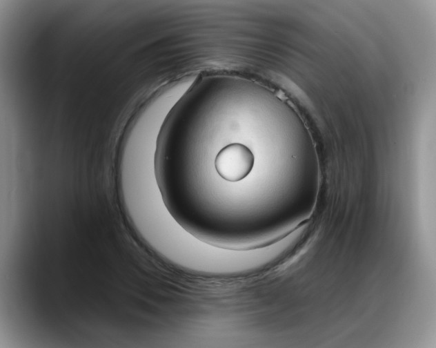 X0000088180930200705291949