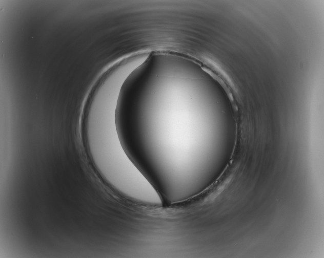 X0000088180932200705291949