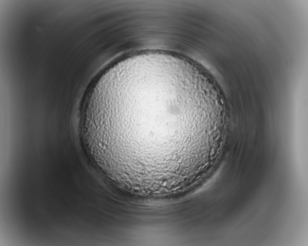 X0000088180933200705291949