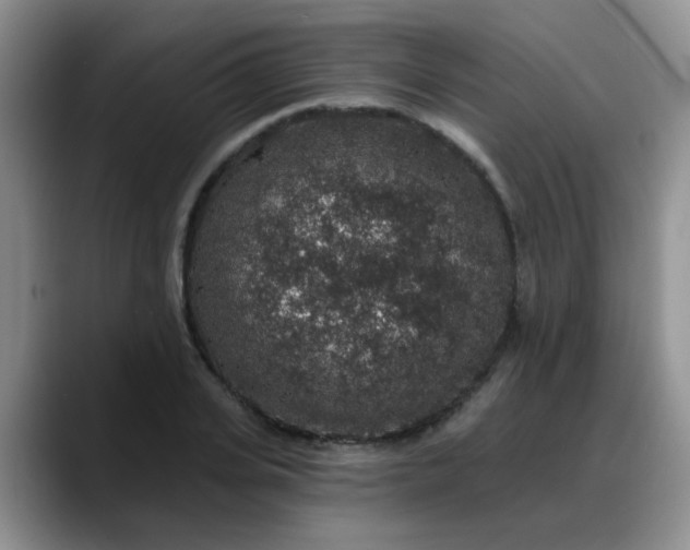 X0000088180935200705291949