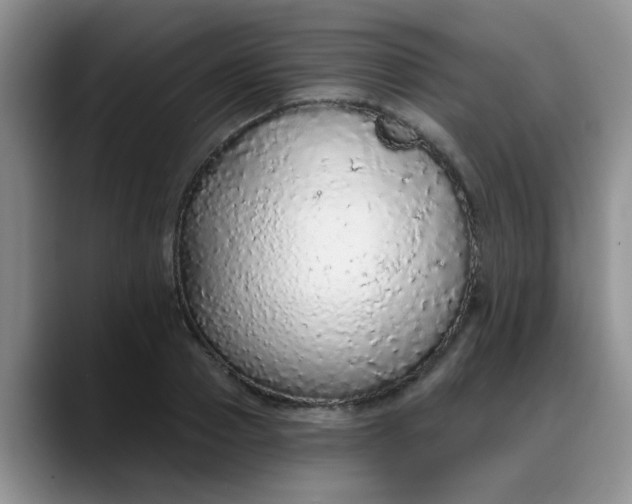 X0000088180937200705291949