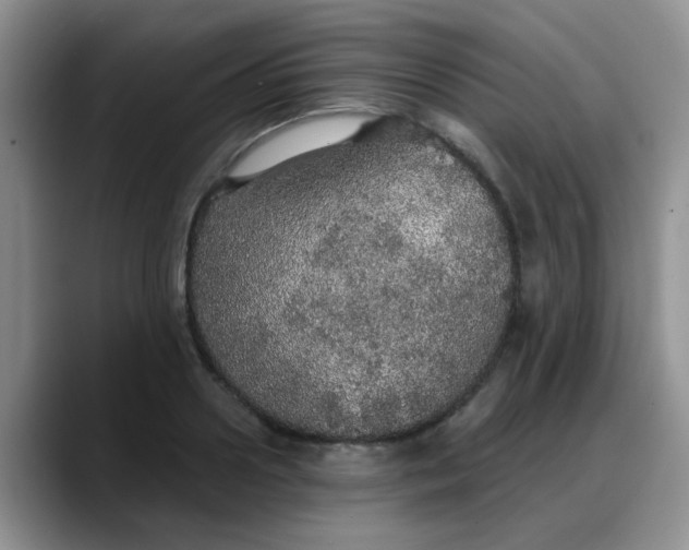 X0000088180938200705291949