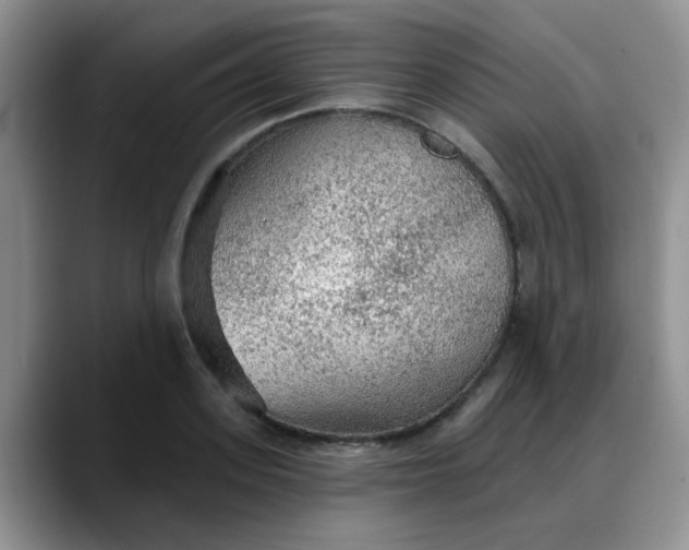 X0000088180939200705291949