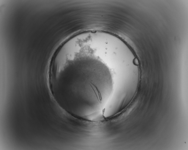 X0000088180941200705291949