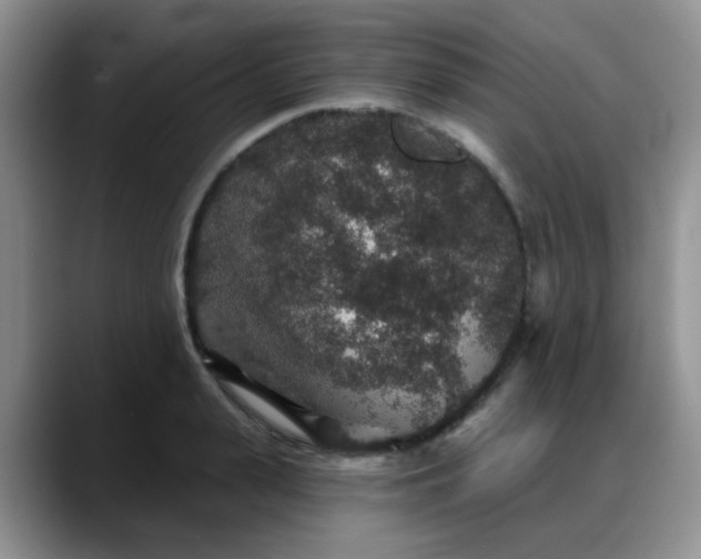 X0000088180943200705291949