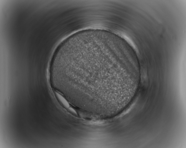 X0000088180944200705291949