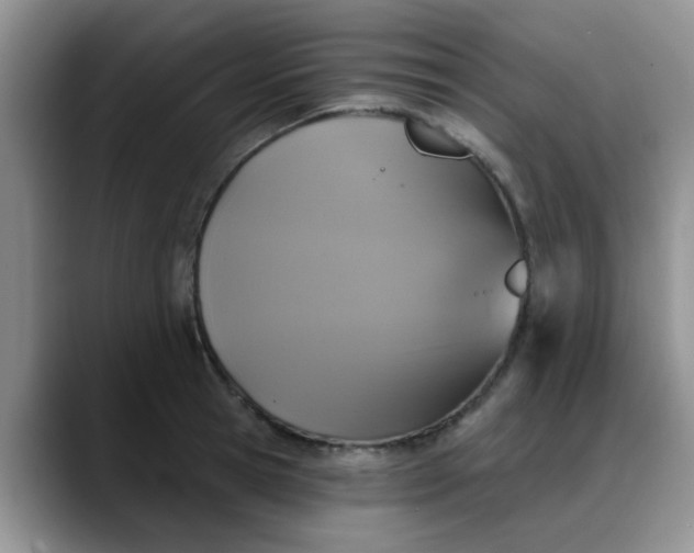 X0000088180945200705291949