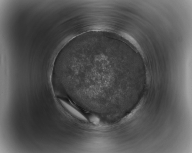 X0000088180946200705291949