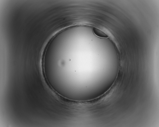 X0000088180947200705291949