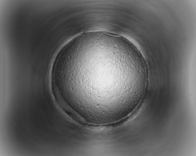 X0000088180949200705291949