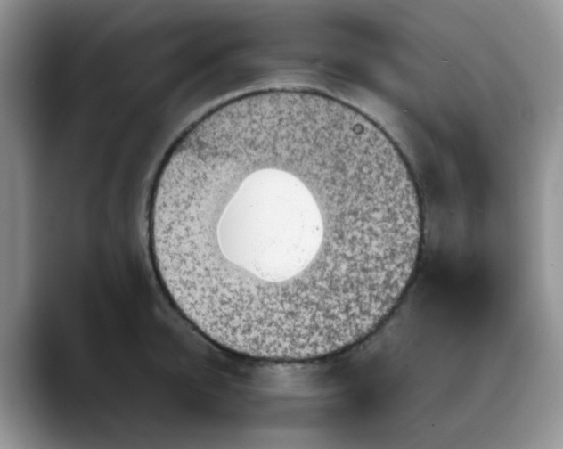 X0000088180950200705291949