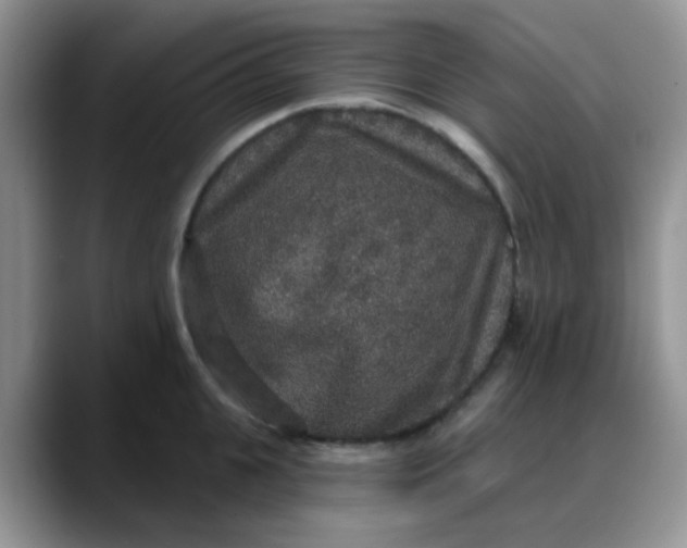 X0000088180951200705291949