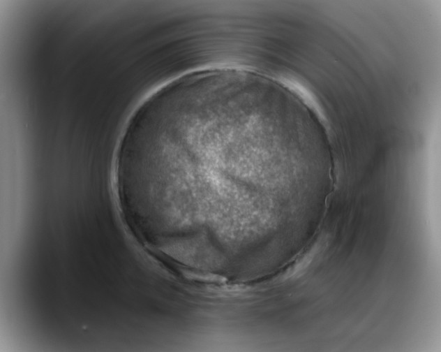 X0000088180952200705291949