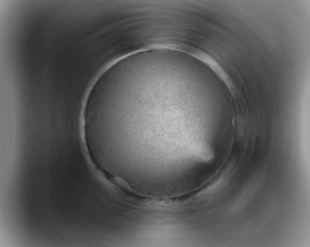 X0000088180955200705291949