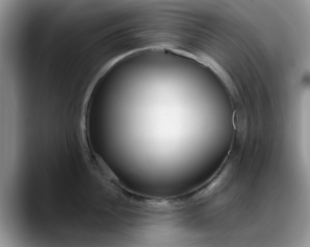 X0000088180956200705291949