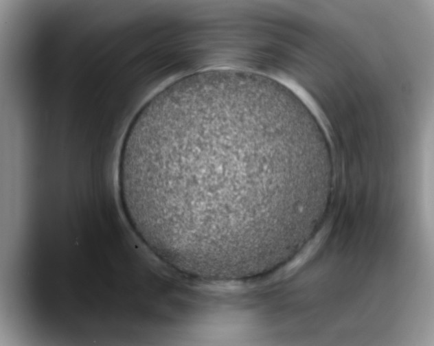 X0000088180957200705291949