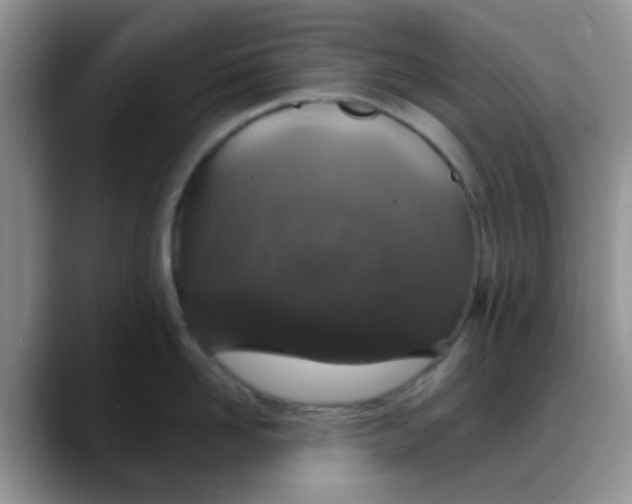 X0000088180958200705291949