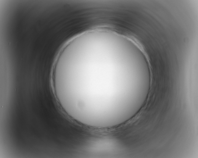 X0000088180960200705291949