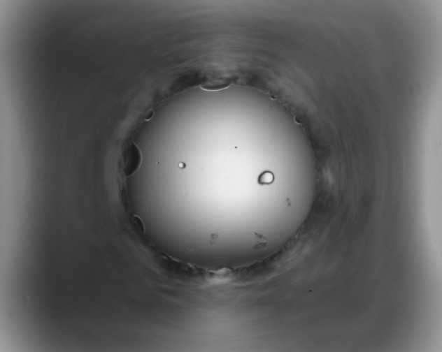 X0000088180961200705291949