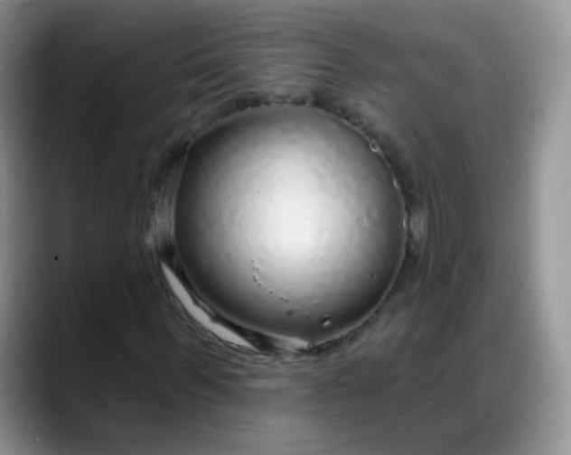 X0000088180963200705291948