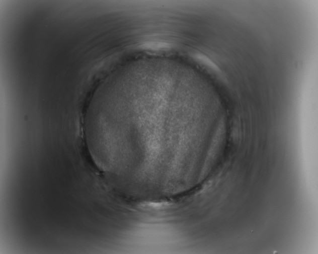 X0000088180966200705291948