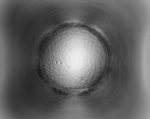 X0000088180967200705291948