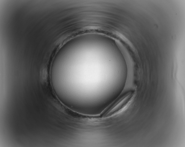 X0000088180969200705291948