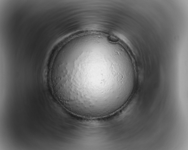 X0000088180971200705291948