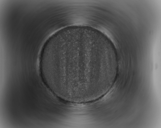 X0000088180975200705291948