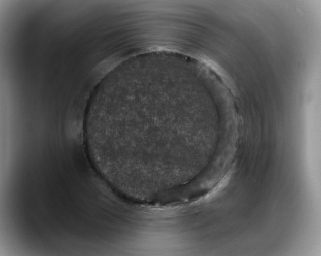 X0000088180977200705291948