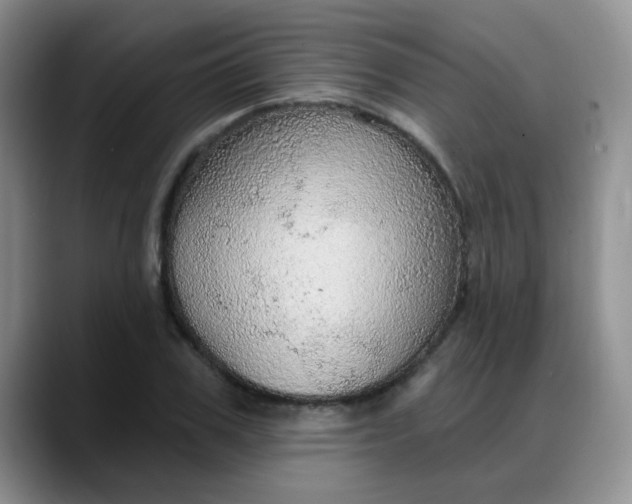 X0000088180979200705291948