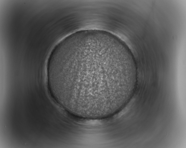 X0000088180982200705291948