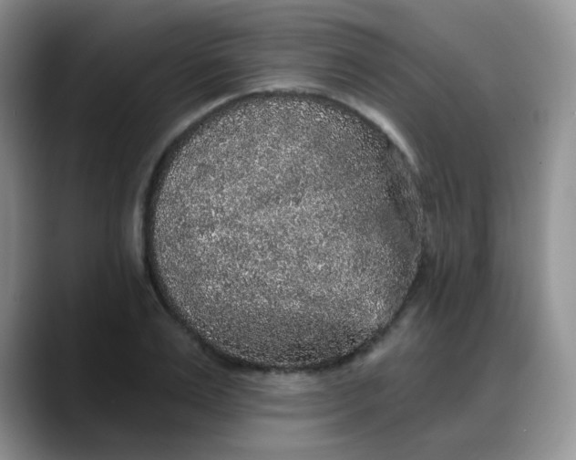 X0000088180983200705291948