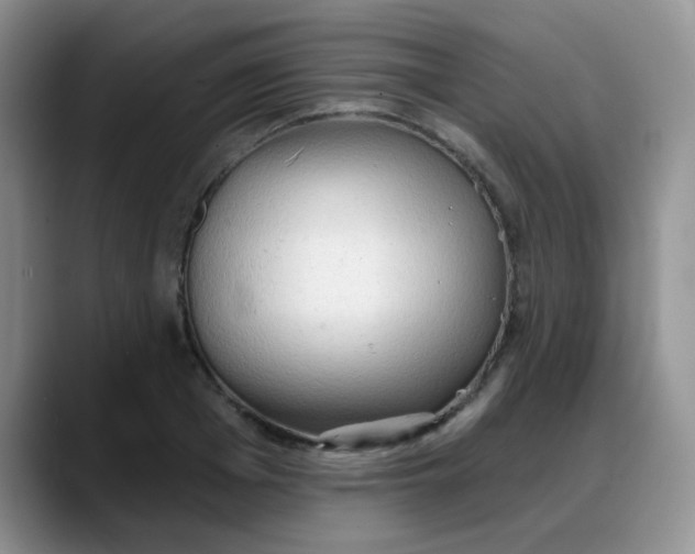 X0000088180985200705291948