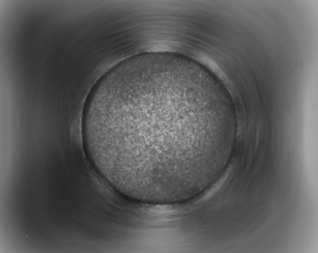 X0000088180986200705291948