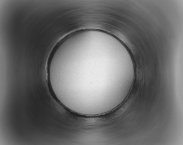 X0000088180988200705291948