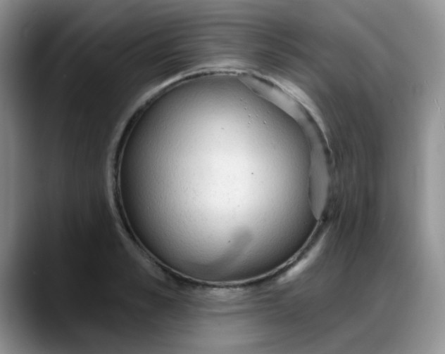 X0000088180989200705291948