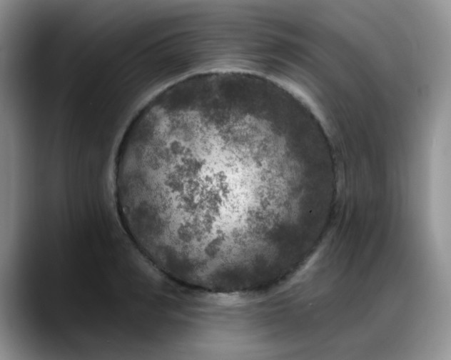 X0000088180990200705291948