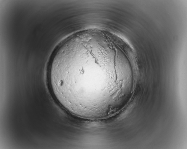 X0000088180991200705291948