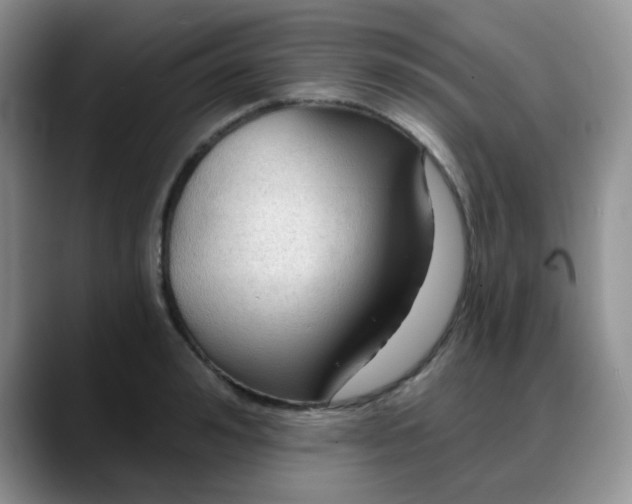 X0000088180992200705291948